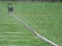 Sumi Soaker Rain 40mm - 100m Hose, fittings