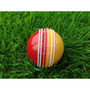 Incredible Cricket Ball