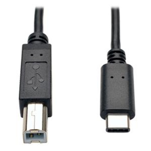 Usb Hi Speed Cable B Male 6 U040 006 By Tripp Lite Mfg Co