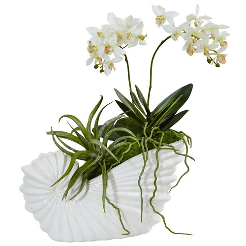 13 5 Succulent And Mini Phalaenopsis In Shell Ceramic 1481 By Nearly Natural