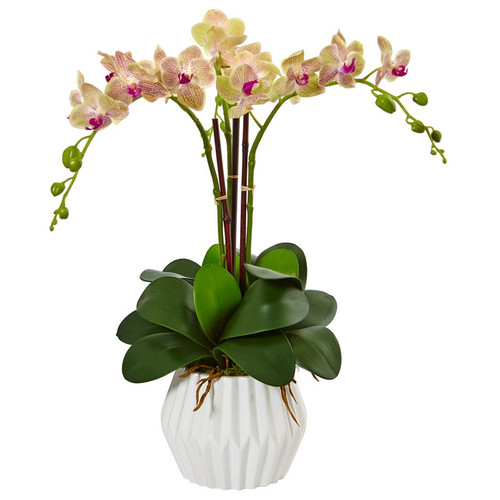 22 Phalaenopsis Orchid Arrangement In White Vase 1489 By Nearly Natural