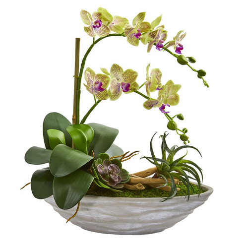 19 Phalaenopsis Orchid And Succulent Arrangement 1714 By Nearly Natural