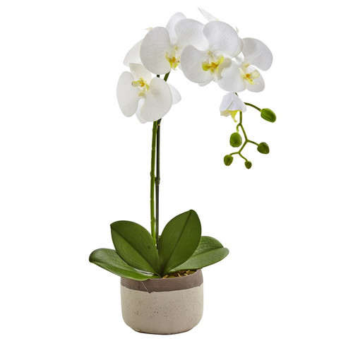 19 Phalaenopsis Orchid In Ceramic Pot 4569 By Nearly Natural