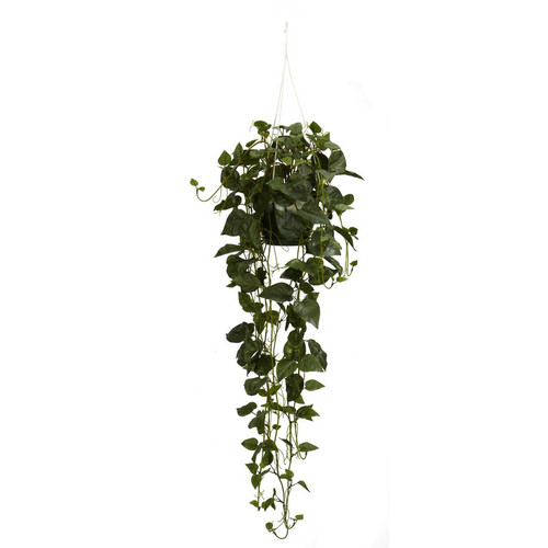 44 Philodendron Hanging Basket 4762 By Nearly Natural