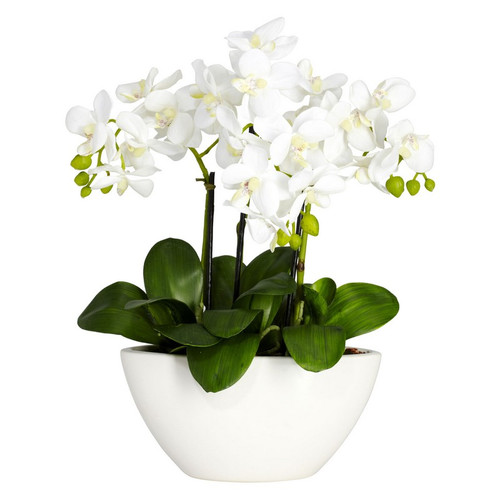 15 Phalaenopsis W White Vase 4804 By Nearly Natural