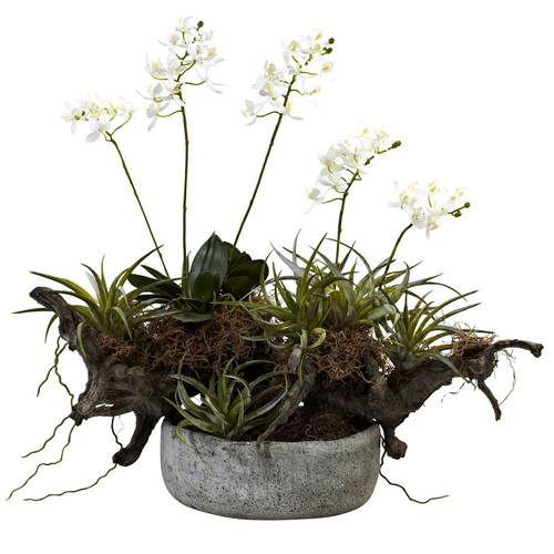 Orchid Succulent Garden W Driftwood Decorative Vase 4839 By Nearly Natural
