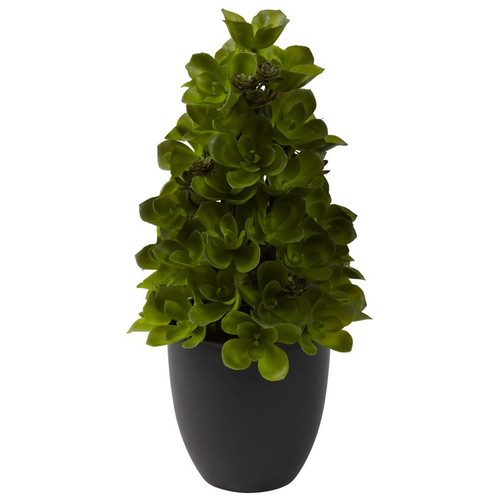 15 Echeveria Cone Topiary 4964 By Nearly Natural