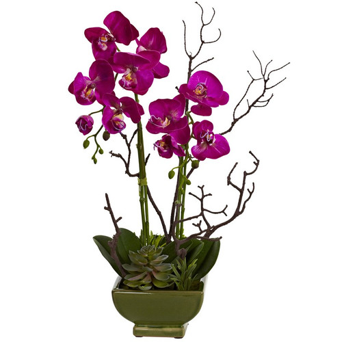 21 Orchid Succulent Arrangement 4990 By Nearly Natural