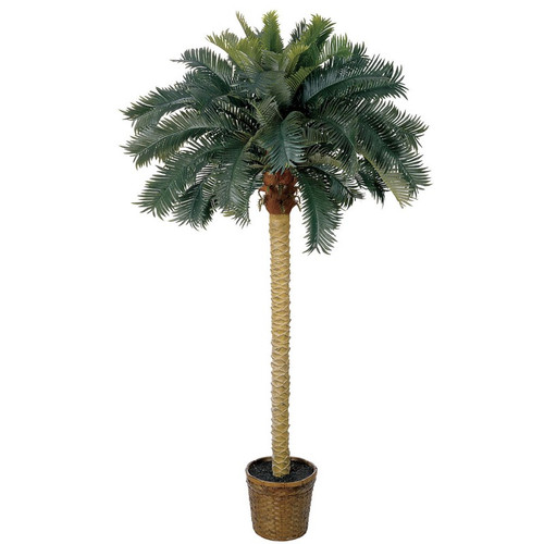 6 Sago Palm Tree W 50 Lvs 5107 By Nearly Natural