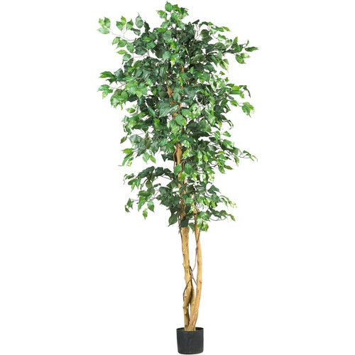 6 Ficus Tree X 3 W 1008 Lvs 5209 By Nearly Natural