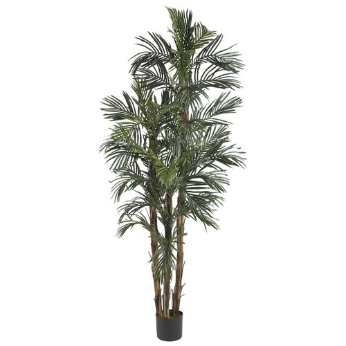 6 Robellini Palm Tree W 38 Lvs 5284 By Nearly Natural