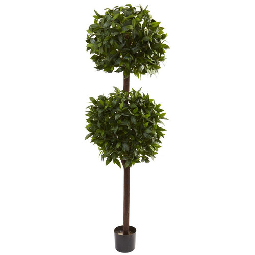 6 Sweet Bay Double Ball Topiary X 2 W 2025 Lvs 5398 By Nearly Natural