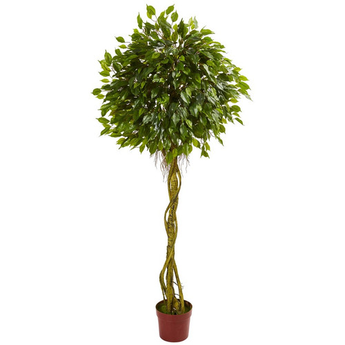 6 Ficus Tree Topiary Uv Resistant Indoor Outdoor 5528 By Nearly Natural