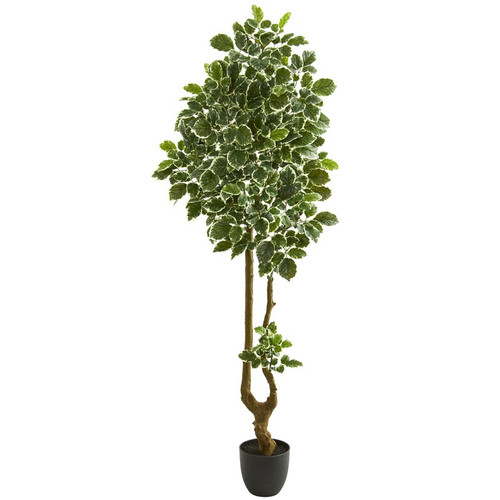 6 5 Variegated Aralia Artificial Tree 5560 By Nearly Natural