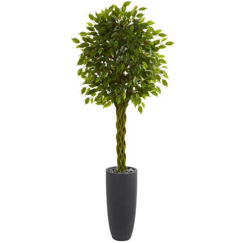 6 5 Braided Ficus Tree In Planter Uv Res Indoor Outdoor 5736 By Nearly Natural