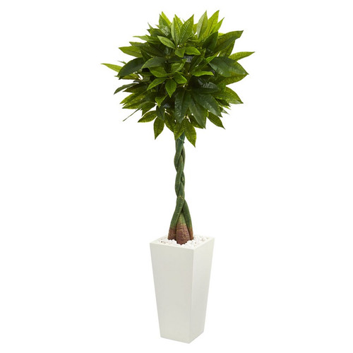 5 5 Money Artificial Tree In Tower Planter Real Touch 5737 By Nearly Natural