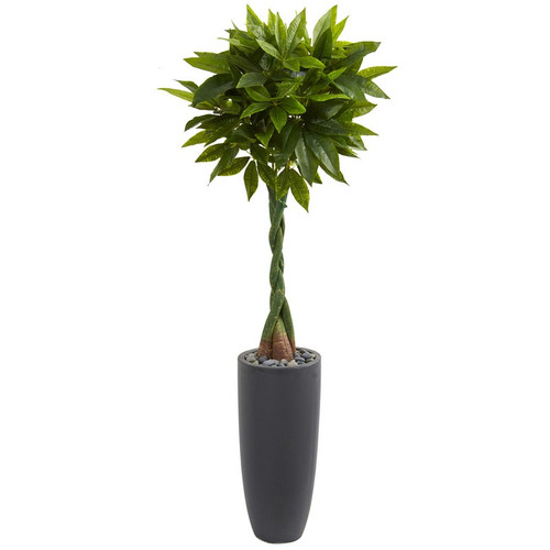 5 5 Money Artificial Tree In Cylinder Planter Real Touch 5740 By Nearly Natural