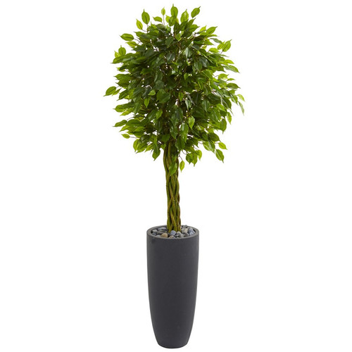 Braided Ficus Tree In Planter Uv Resistant Indoor Outdoor 5741 By Nearly Natural