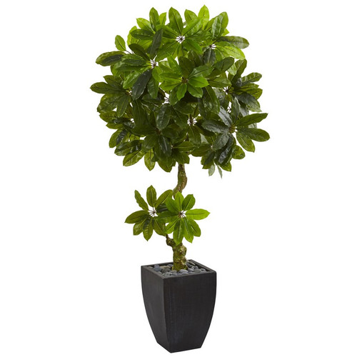 5 5 Schefflera Tree In Planter Uv Resist Indoor Outdoor 5762 By Nearly Natural