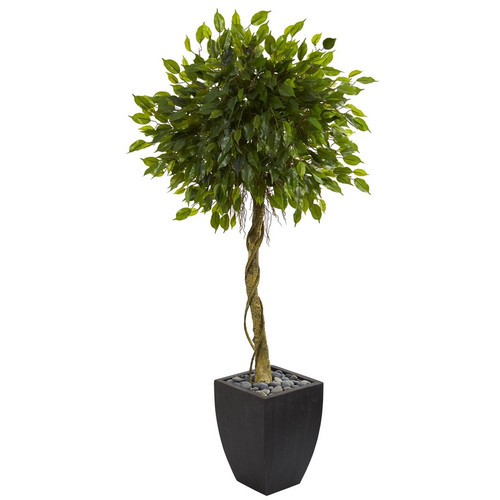 Ficus Tree In Black Planter Uv Resistant Indoor Outdoor 5780 By Nearly Natural