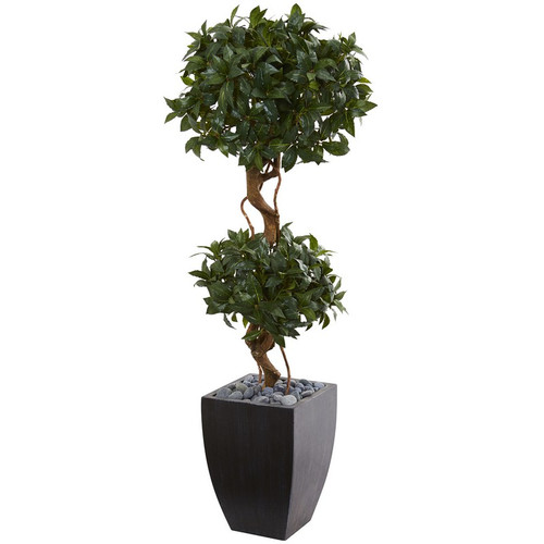 4 5 Sweet Bay Double Topiary Tree In Black Wash Planter 5829 By Nearly Natural