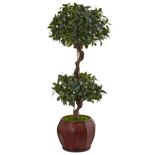 4 5 Sweet Bay Double Topiary Tree In Round Wood Planter 5843 By Nearly Natural