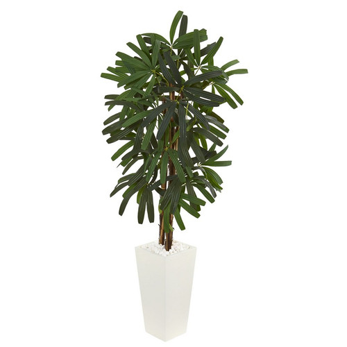 5 5 Raphis Palm Tree In White Tower Planter 5867 By Nearly Natural