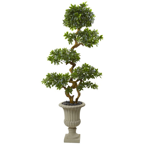 6 Pittosporum Tree In Urn Uv Resistant Indoor Outdoor 5957 By Nearly Natural