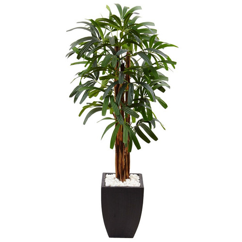 5 5 Raphis Plam Tree In Black Planter 5982 By Nearly Natural