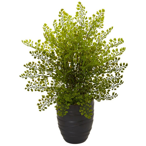 17 Maiden Hair Plant In Black Ceramic Pot 6309 By Nearly Natural