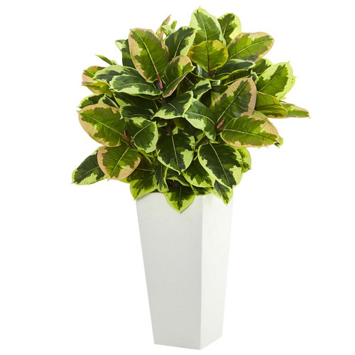 32 Variegated Rubber Plant In White Tower Planter 6371 By Nearly Natural