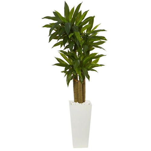 5 Cornstalk Dracaena Plant In White Tower Planter 6391 By Nearly Natural