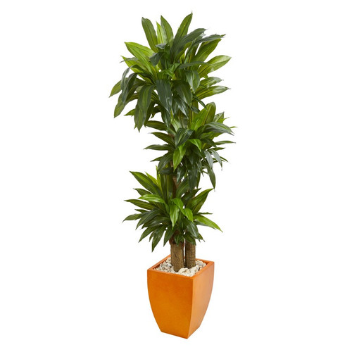 5 5 Dracaena Plant In Orange Square Planter Real Touch 6430 By Nearly Natural