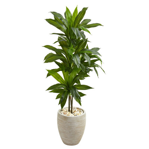 4 Dracaena Plant In Sand Colored Planter Real Touch 6456 By Nearly Natural