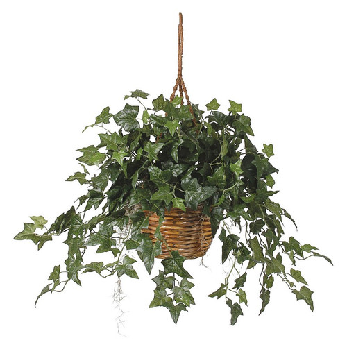 English Ivy Hanging Basket 6507 By Nearly Natural