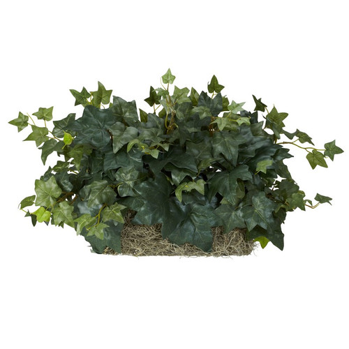 Ivy Ledge Plant Set On Foam Silk Plant 6707 By Nearly Natural