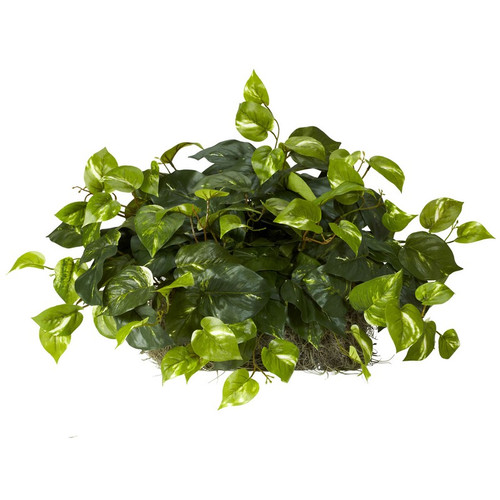 Pothos Ledge Plant Set On Foam Silk Plant 6708 By Nearly Natural