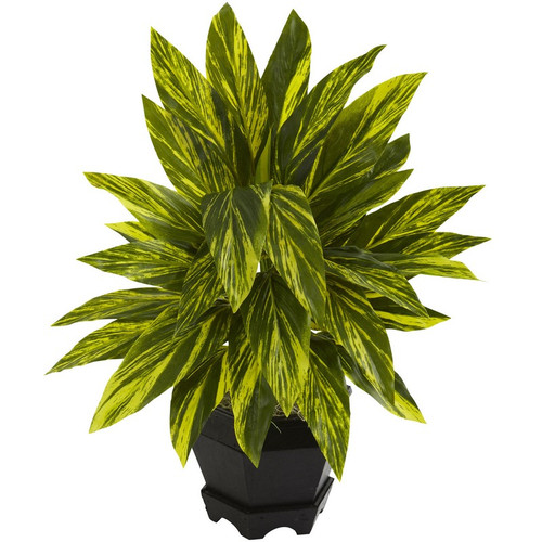 Ginger Plant W Black Planter 6789 By Nearly Natural
