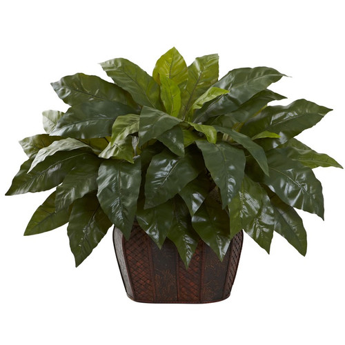 27 Giant Birdsnest Fern With Decorative Planter 6834 By Nearly Natural