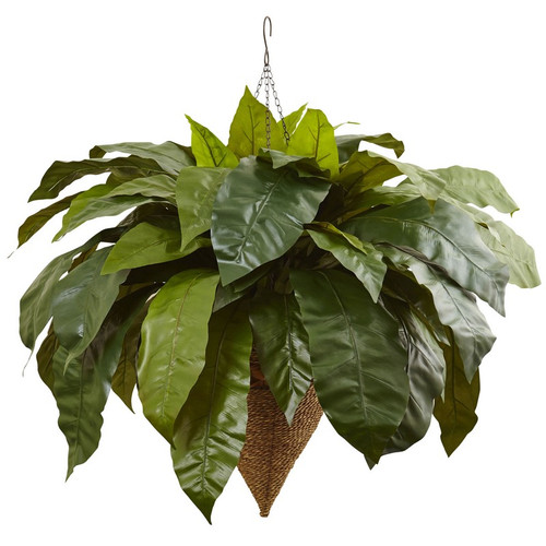 30 Giant Bird S Nest Fern With Cone Hanging Basket 6870 By Nearly Natural