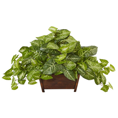 18 5 Nephthytis In Wood Planter 6922 By Nearly Natural