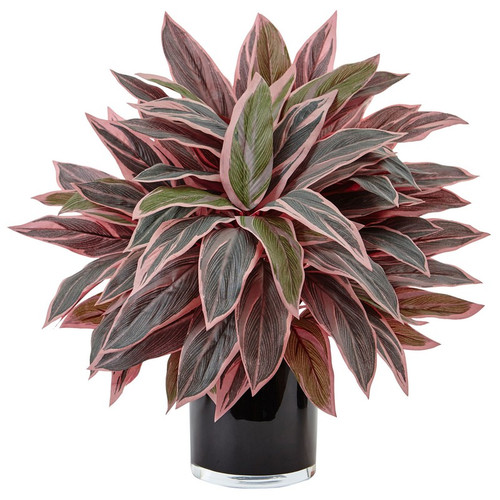 20 Caladium In Black Glossy Planter 6940 By Nearly Natural