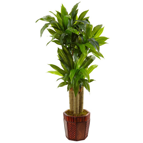4 5 Cornstalk Dracaena In Bamboo Planter 6958 By Nearly Natural