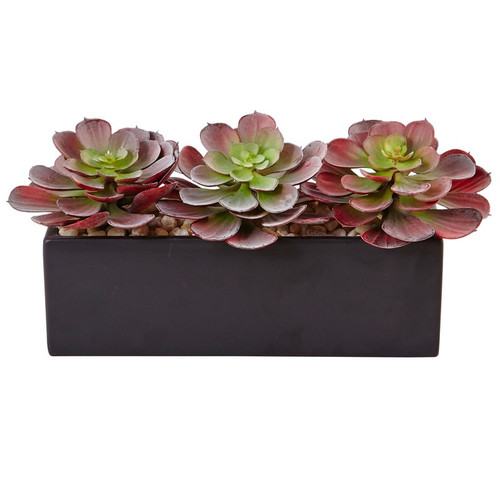 6 Echeveria Succulent In Rectangular Planter 6975 By Nearly Natural