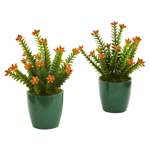 10 Sedum Succulent Plant In Green Planter Set Of 2 8213 S2 By Nearly Natural