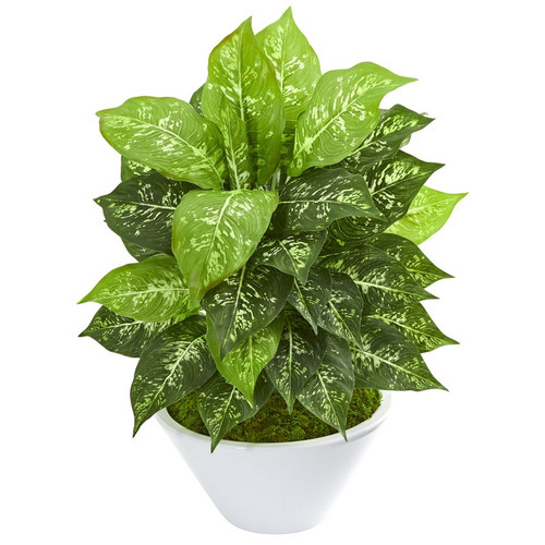 20 Dieffenbachia Artificial Plant In White Bowl 8363 By Nearly Natural