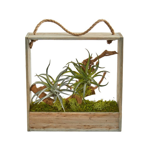 12 Air Plant Artificial Succulent In Hanging Frame 8368 By Nearly Natural