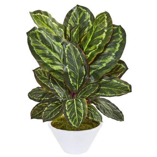 26 Maranta Artificial Plant In White Vase 8412 By Nearly Natural