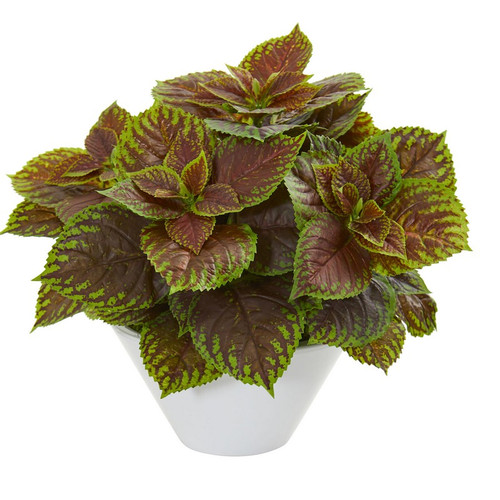 16 Coleus Artificial Plant In White Planter 8501 By Nearly Natural
