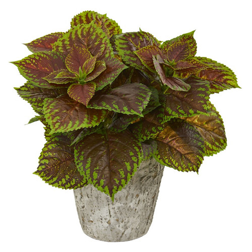 14 Coleus Plant In Weathered Oak Planter Real Touch 8504 By Nearly Natural